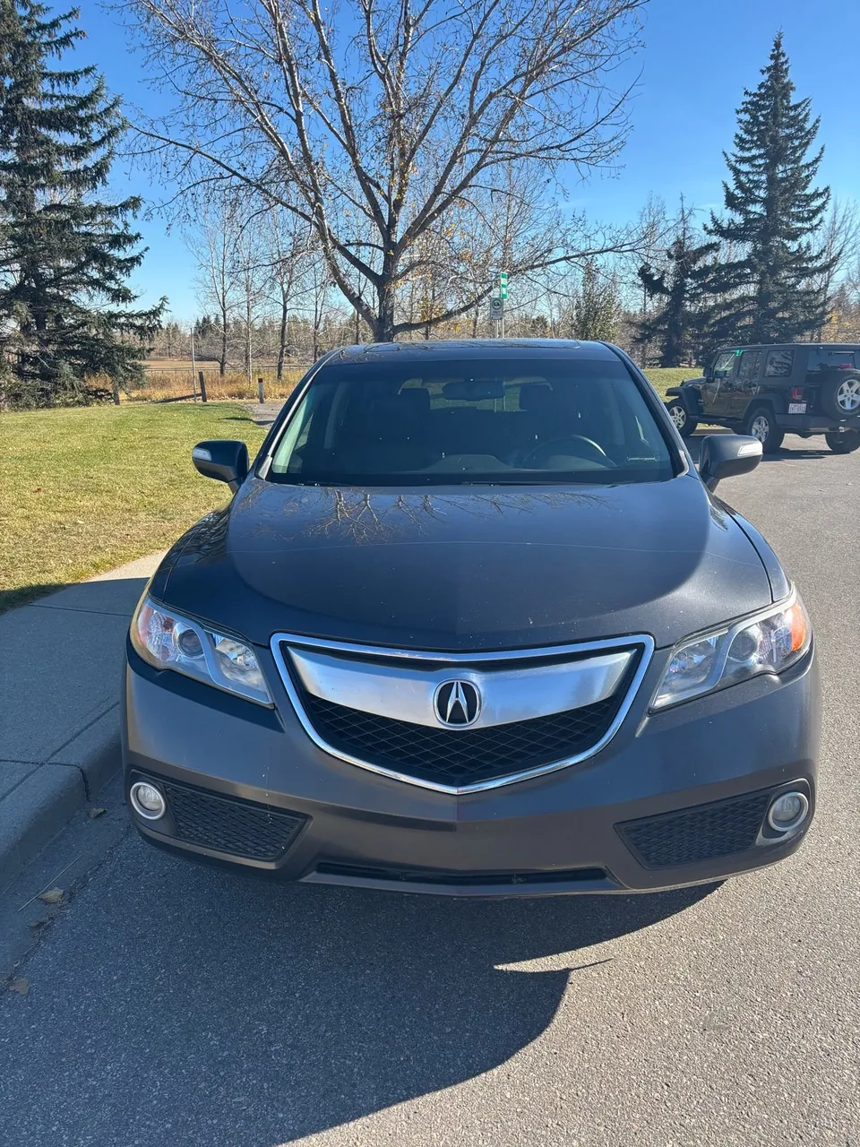 Acura Rdx 2014 photo 3