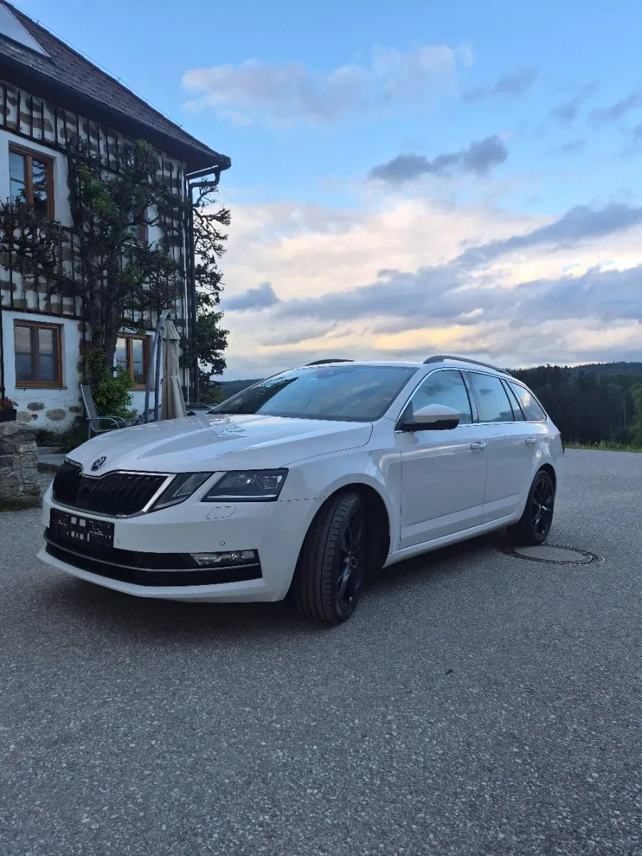 Skoda Octavia 2019 photo 2