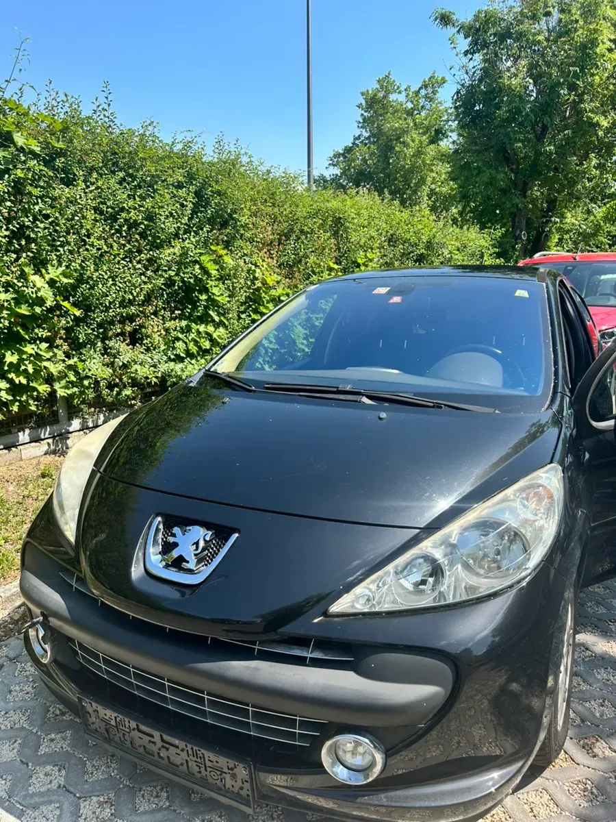 Peugeot 207 2009 photo 3