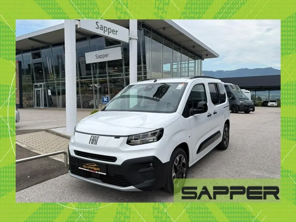 Fiat Sonstige