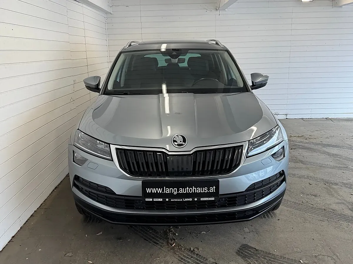 Skoda Karoq 2019 photo 2