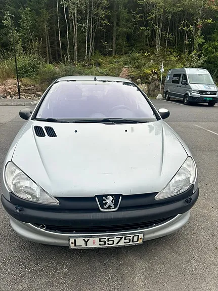 Peugeot 206 2003 photo 2
