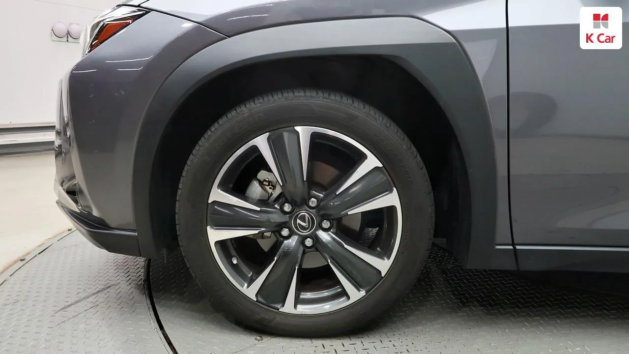 Lexus Ux250H 2019 photo 5