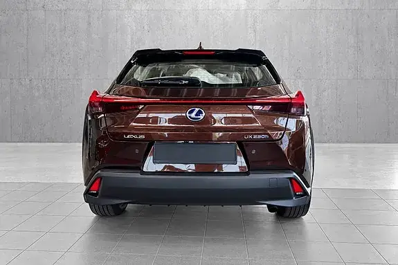 Lexus Ux250H 2019 photo 5