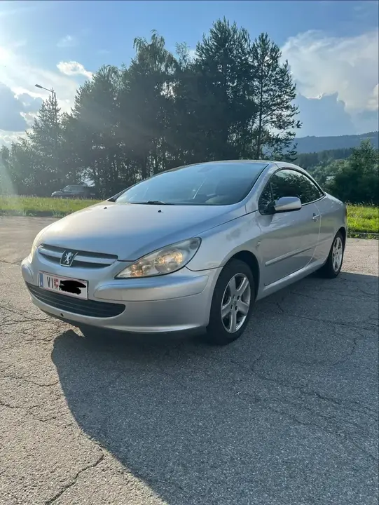 Peugeot 307 2005 photo 2