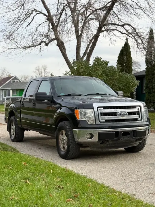 Ford F-150 2014 photo 3