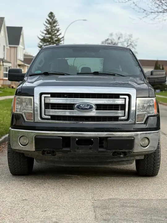 Ford F-150 2014 photo 2