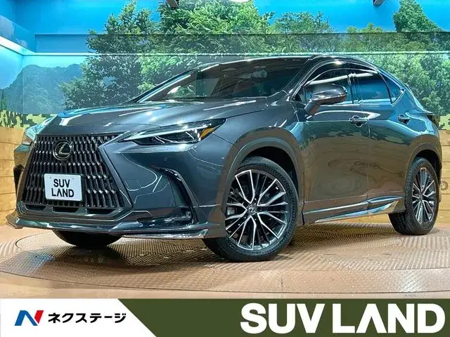 Toyota Nx