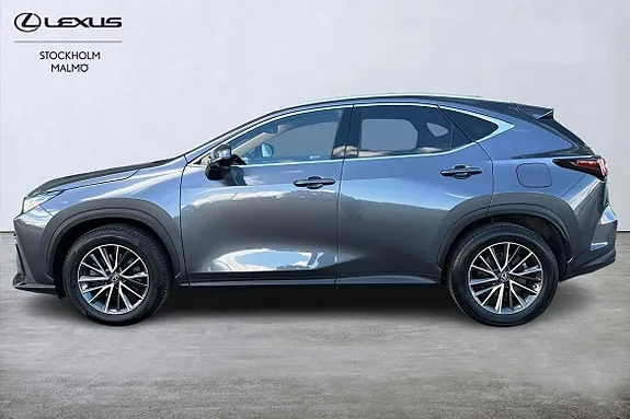 Lexus Nx450H+ 2023 photo 2
