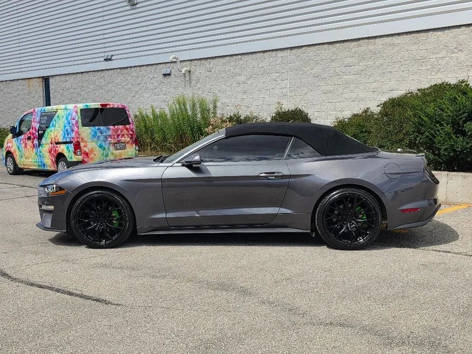 Ford Mustang 2019 photo 3