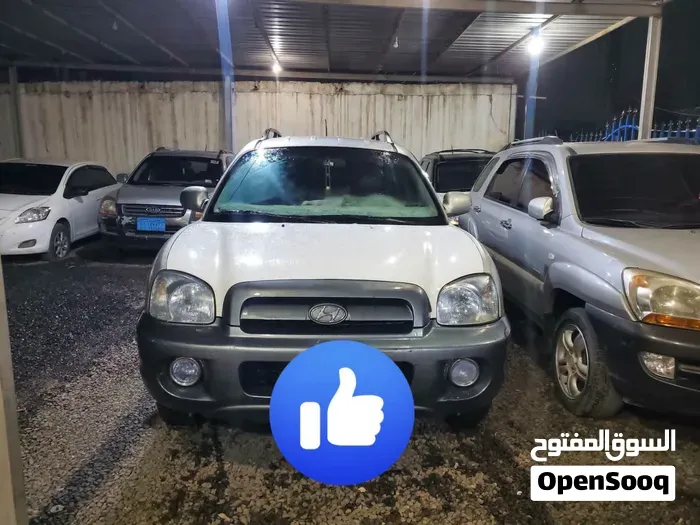 Hyundai Santa Fe 2005 photo 3