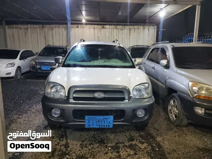 Hyundai Santa Fe 2005 photo 2