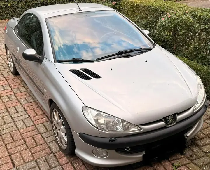 Peugeot 206 Cc Cabrio