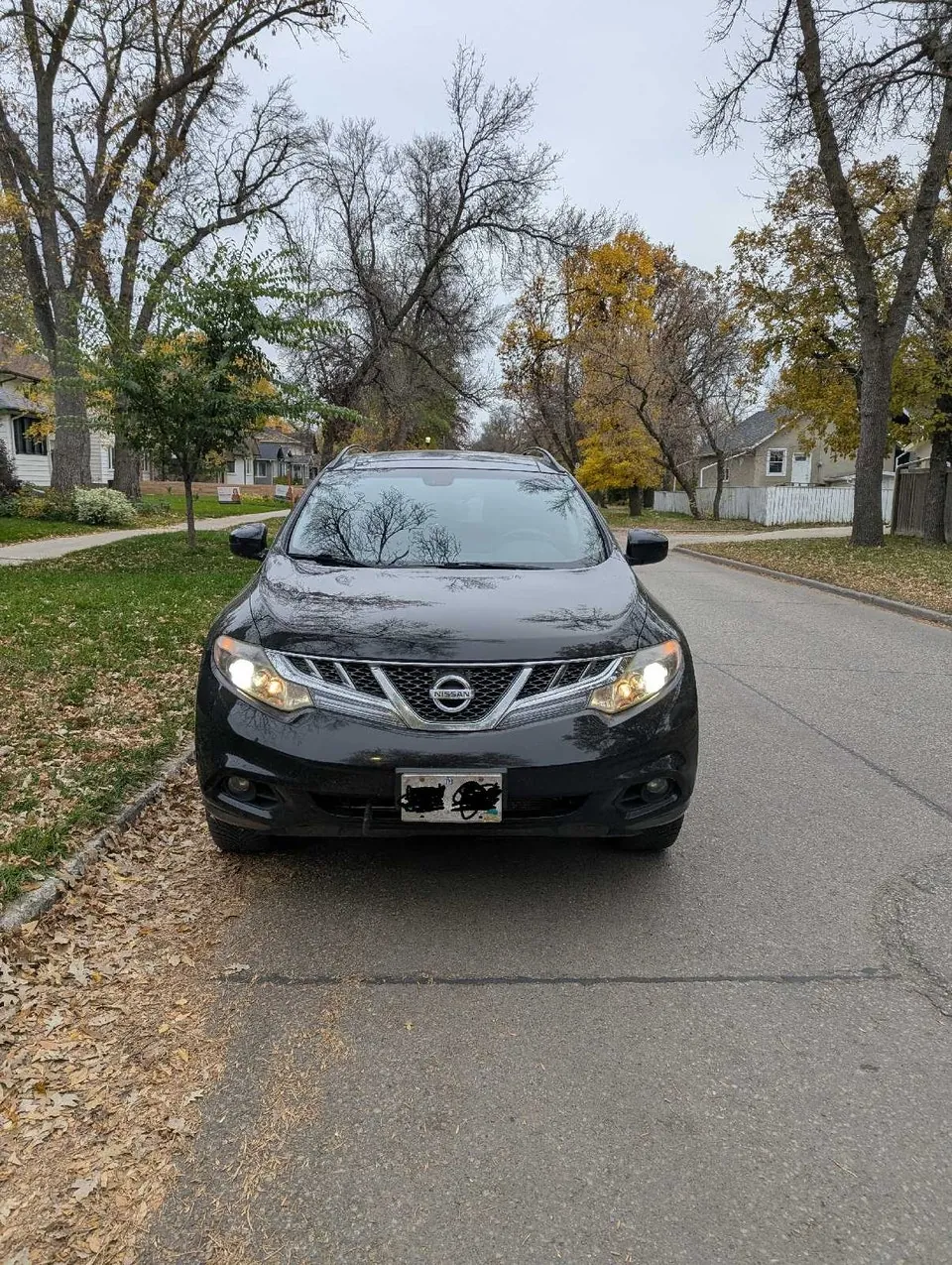 Nissan Murano 2013 photo 4