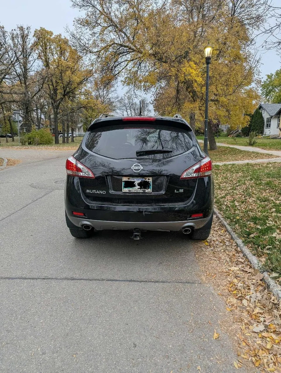 Nissan Murano 2013 photo 3