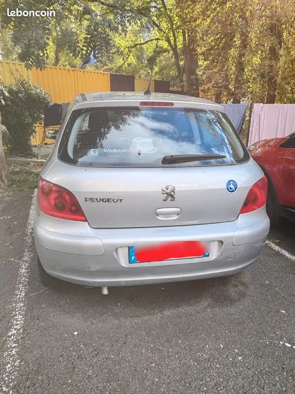 Peugeot 307 2004 photo 2