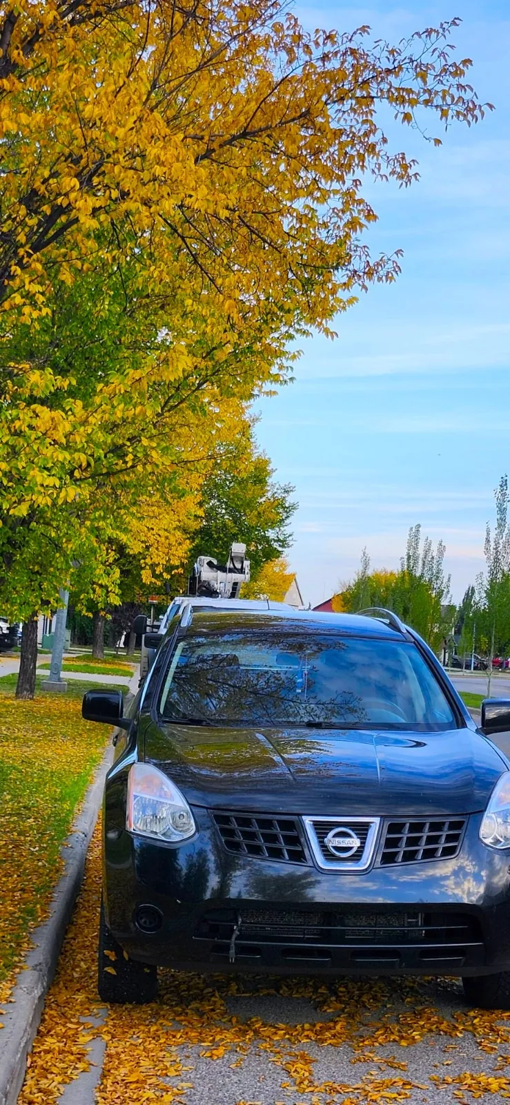 Nissan Rogue 2009 photo 4