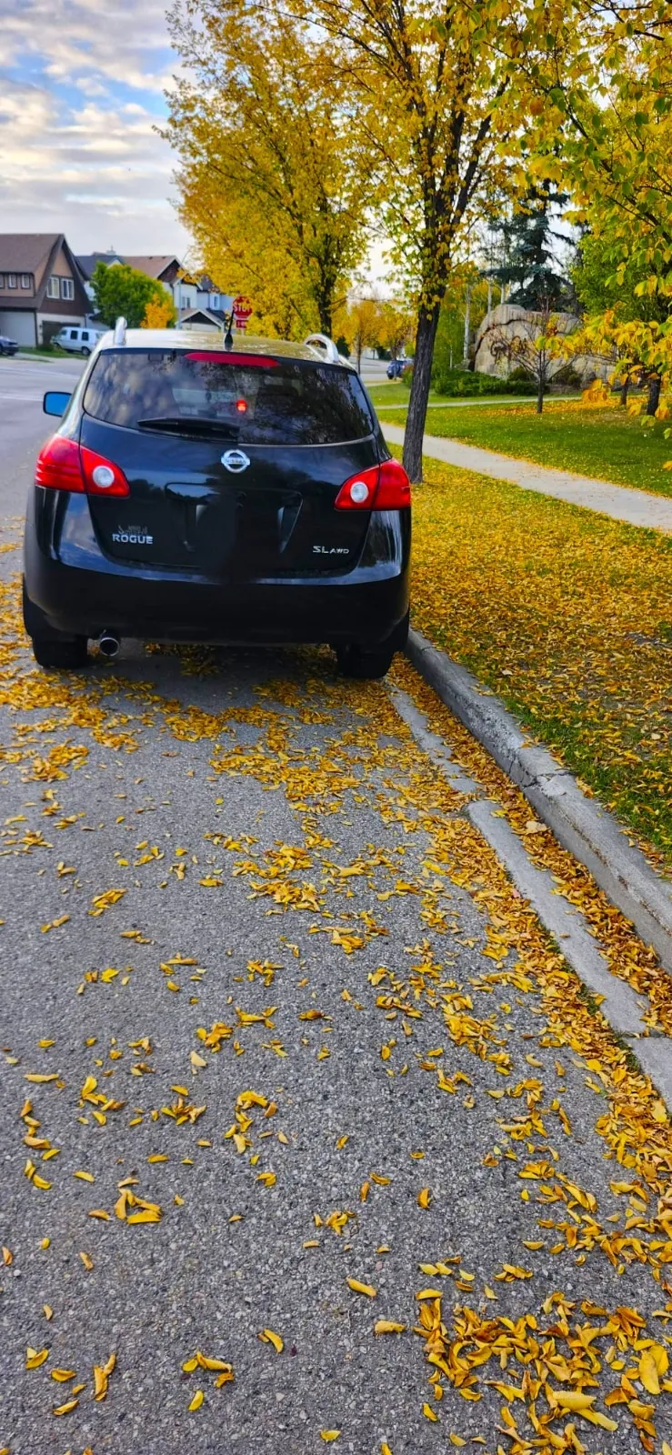 Nissan Rogue 2009 photo 3