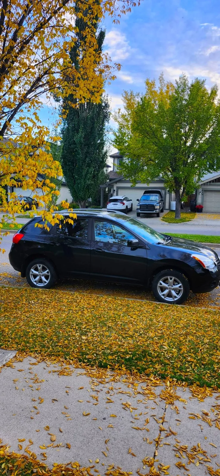 Nissan Rogue 2009 photo 2