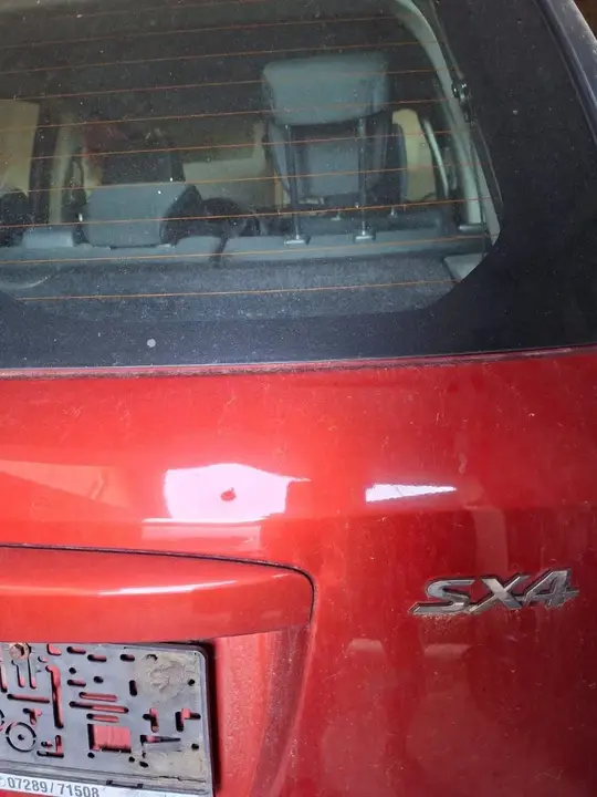 Suzuki Sx4 2007 photo 2