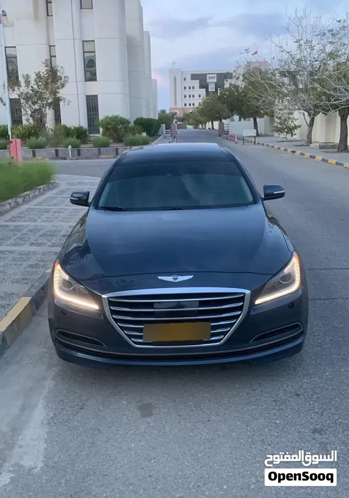 Genesis Sonata 2014 photo 5