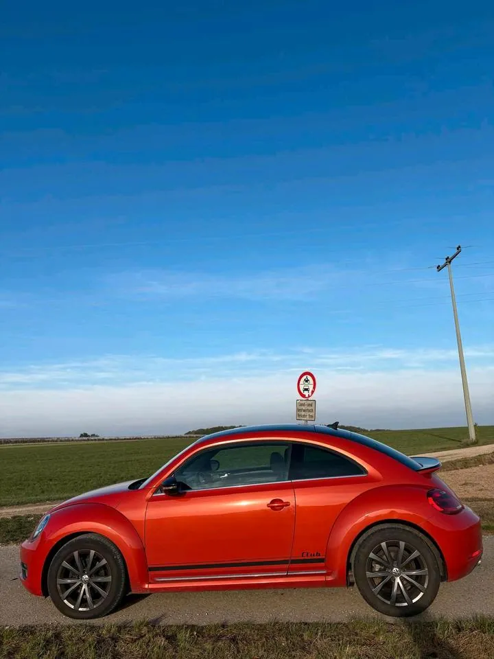 Volkswagen Beetle