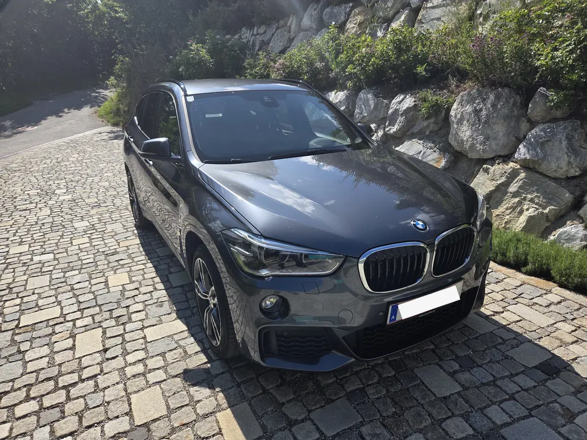 BMW X1 2019 photo 2