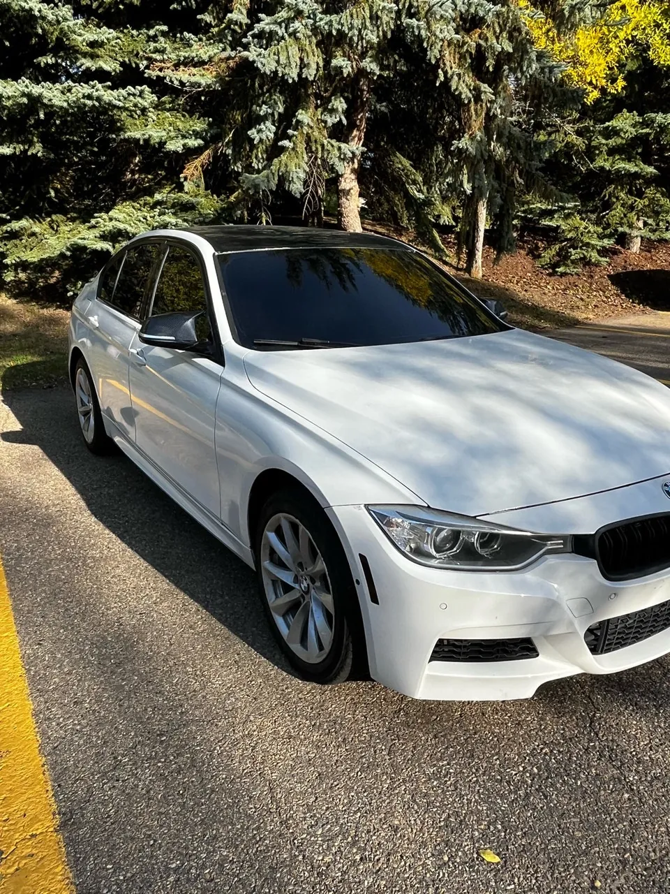 BMW 3 Series 2013 photo 5