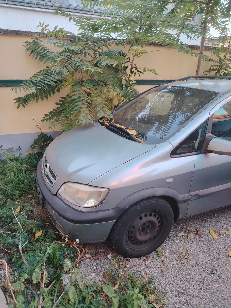 Opel Zafira 2004 photo 3