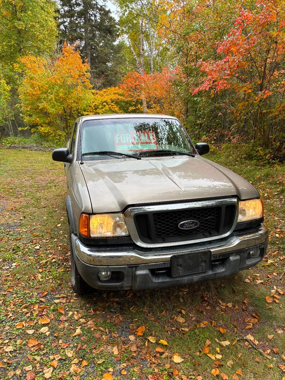 Ford Ranger 2005 photo 2