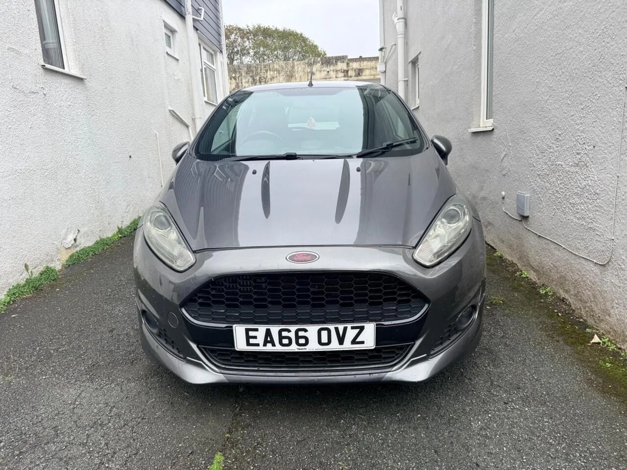 Ford Fiesta 2016 photo 2