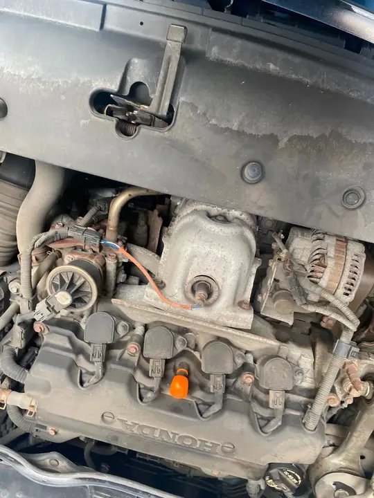 Honda Civic 2009 photo 5