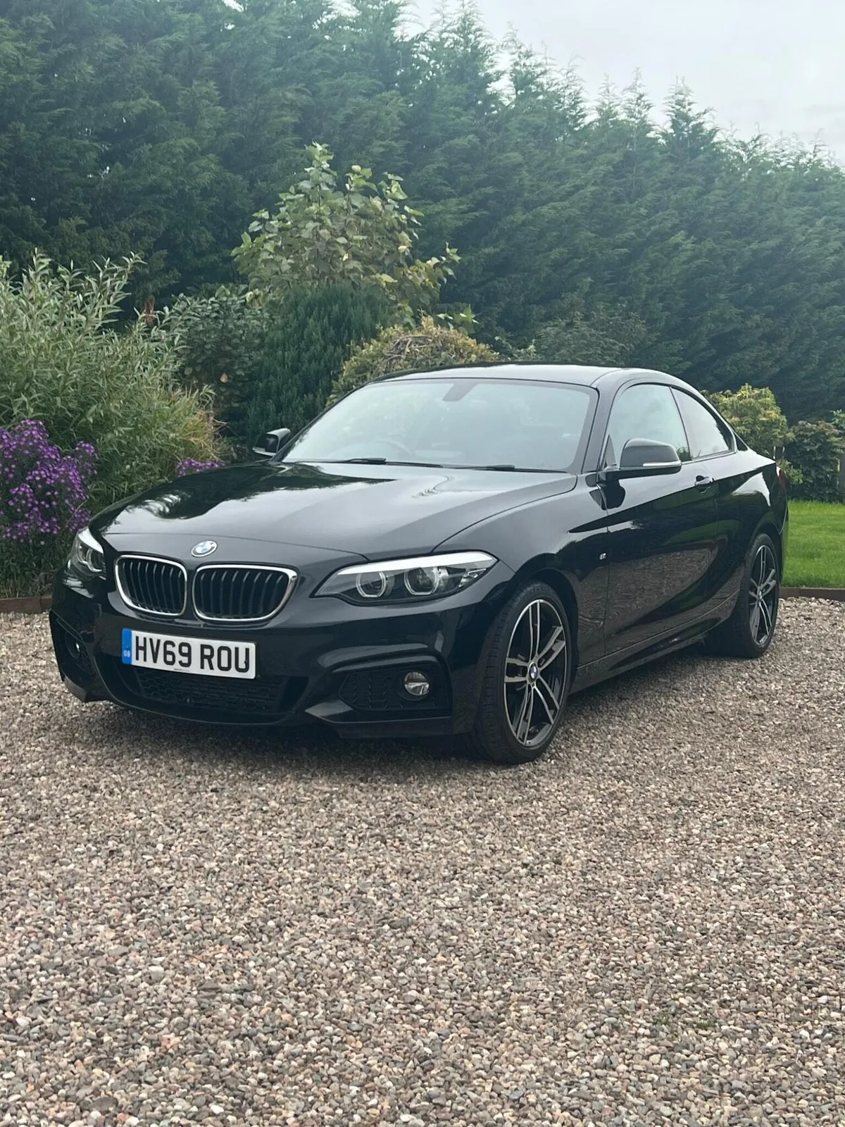 BMW 2 Series 2019 photo 4