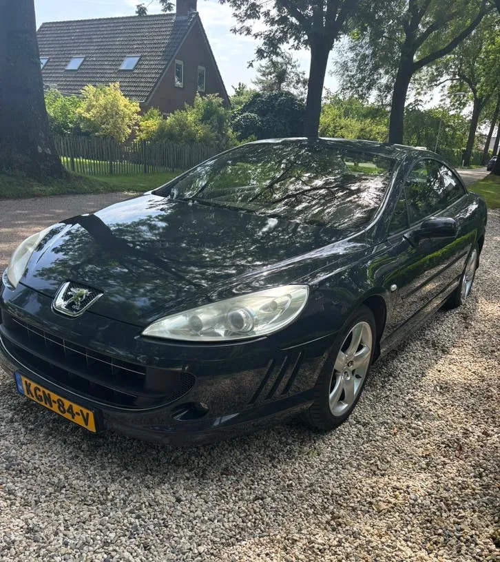 Peugeot 407
