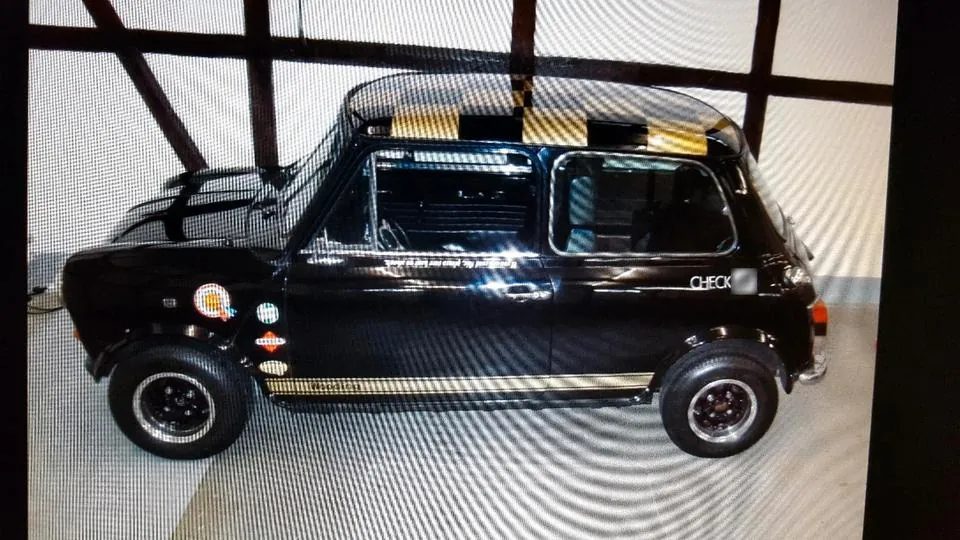 Rover Mini