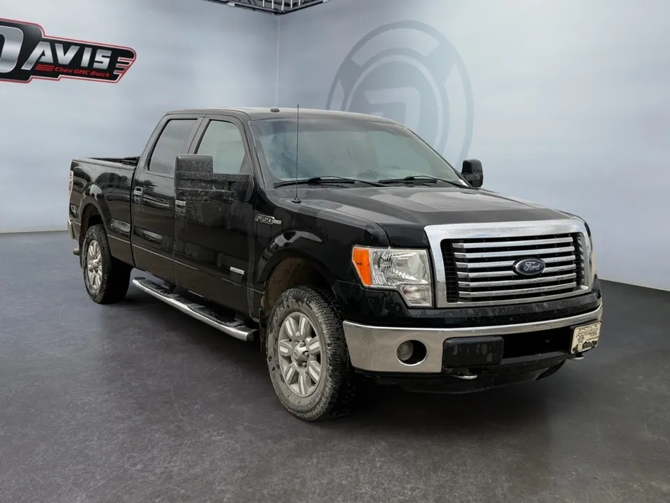Ford F-150 2011 photo 3