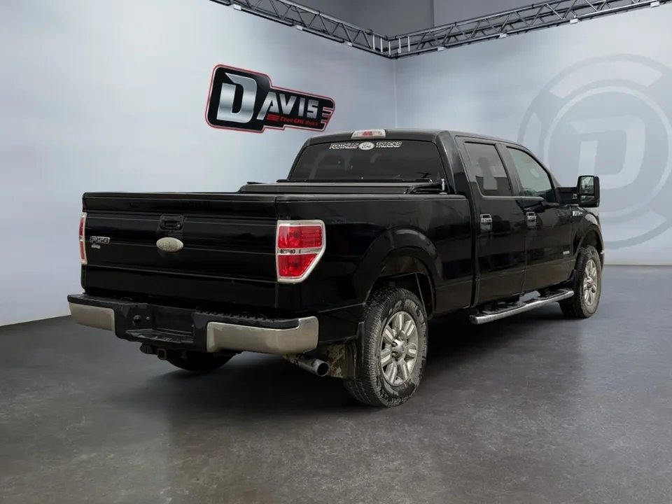 Ford F-150 2011 photo 5