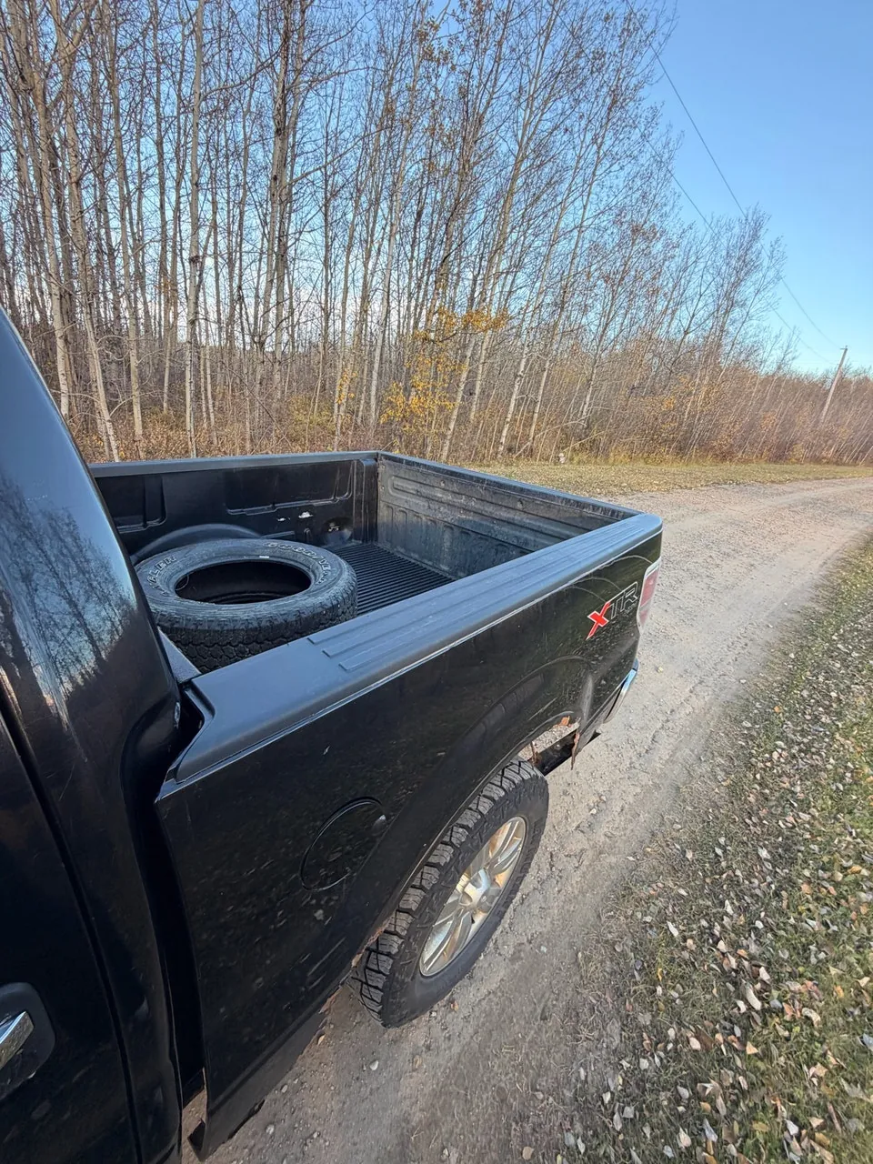 Ford F-150 2010 photo 3