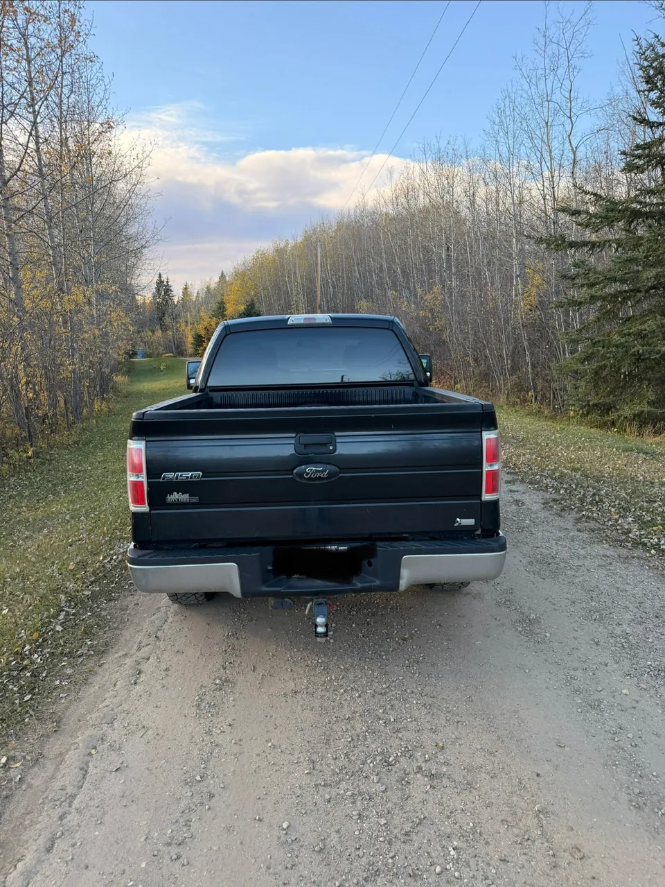 Ford F-150 2010 photo 2