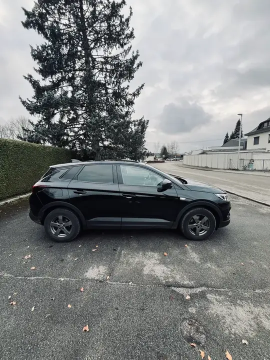 Opel Grandland X 2020 photo 3