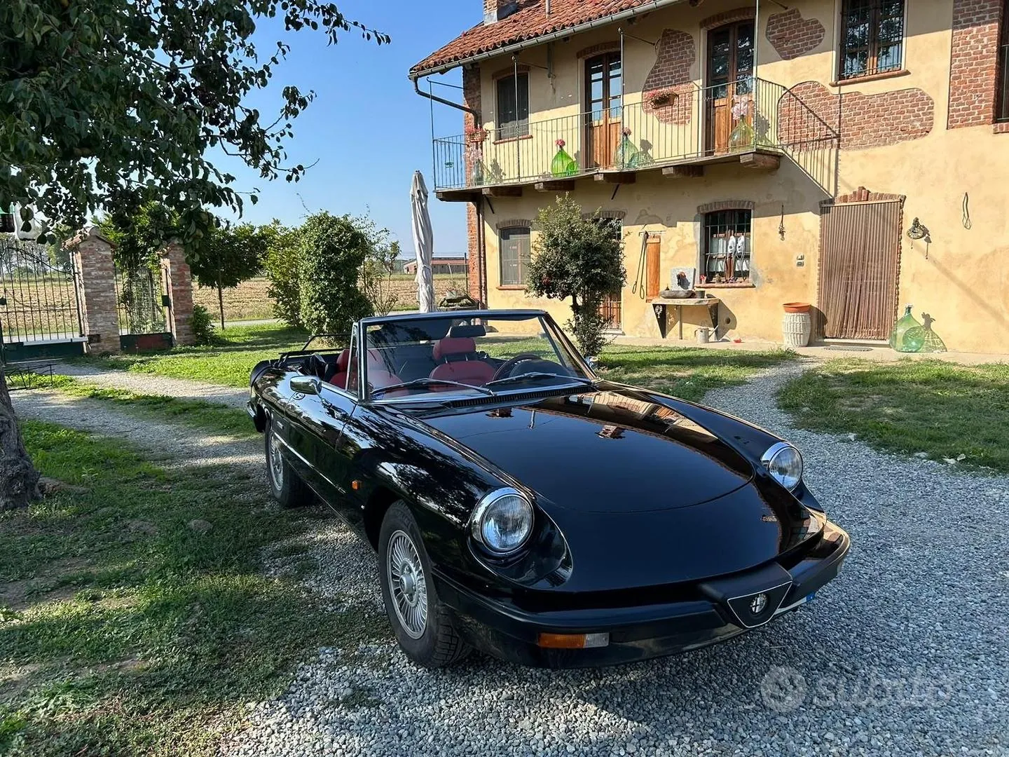 Alfa Romeo Spider