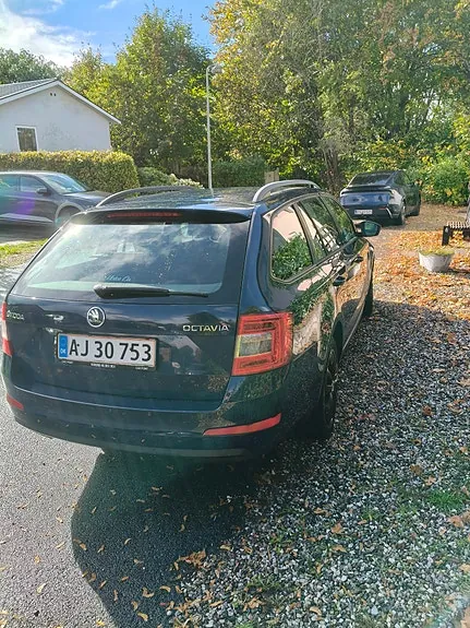 Skoda Octavia 2014 photo 4