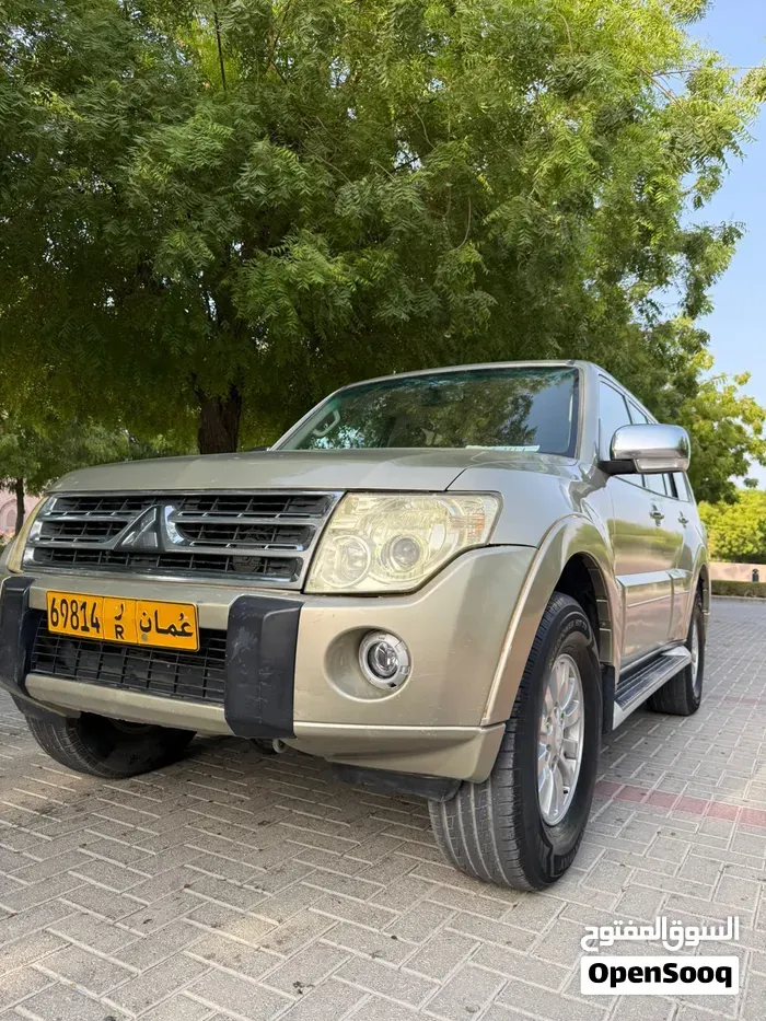 Mitsubishi Panorama 2010 photo 3