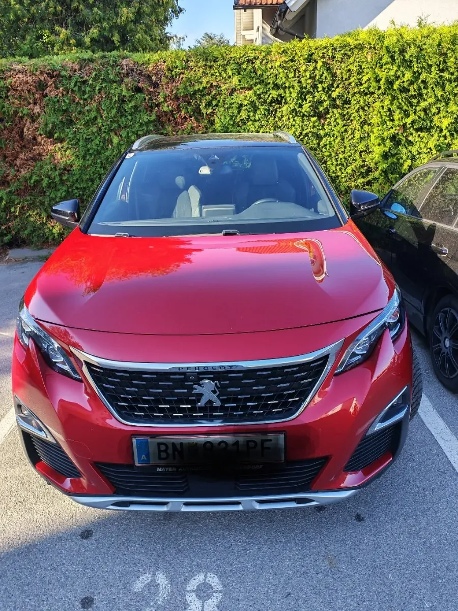 Peugeot 3008 2020 photo 2
