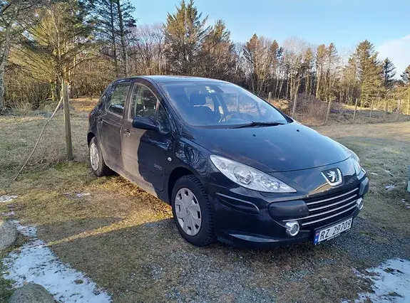Peugeot 307 2007 photo 4