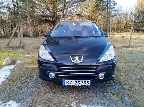 Peugeot 307 2007 photo 2