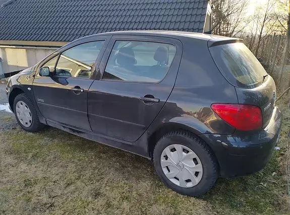 Peugeot 307 2007 photo 5