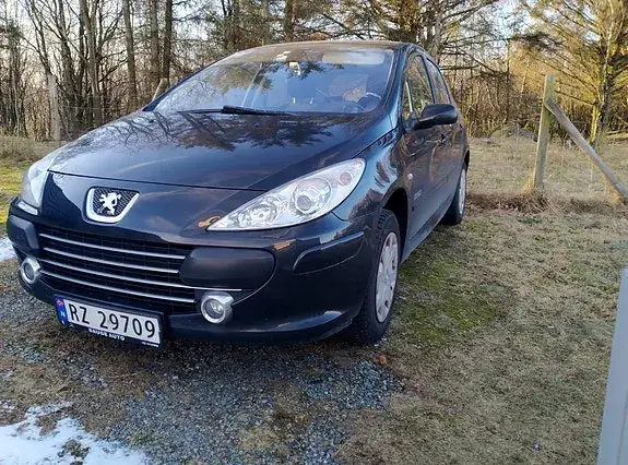Peugeot 307 2007 photo 3