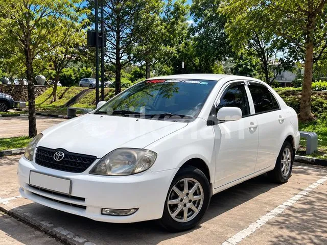 Toyota Corolla 2001 photo 4