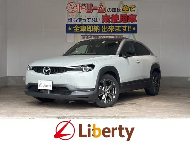 Mazda Mx-30 2021 photo 2